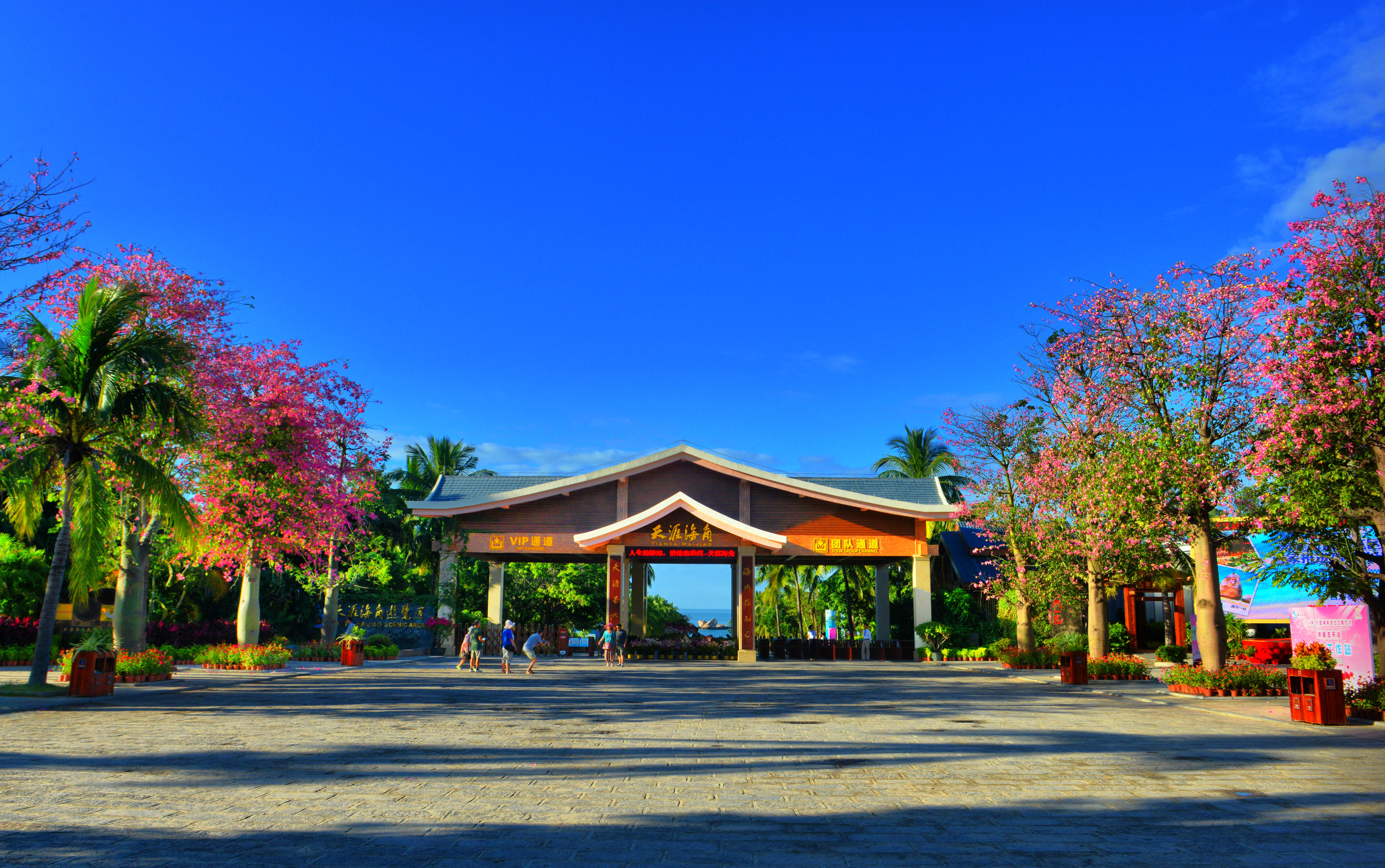 三亚旅游文化发展集团有限公司