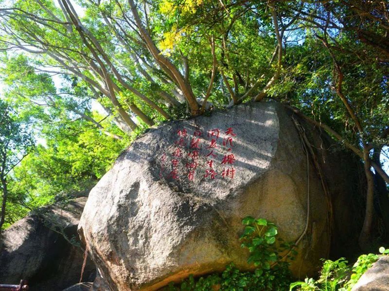 三亚旅游文化发展集团有限公司