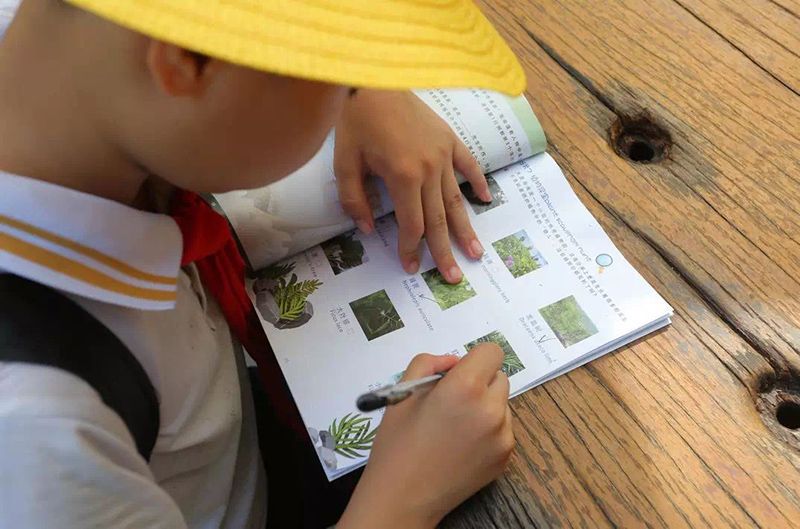 三亚旅游文化发展集团有限公司