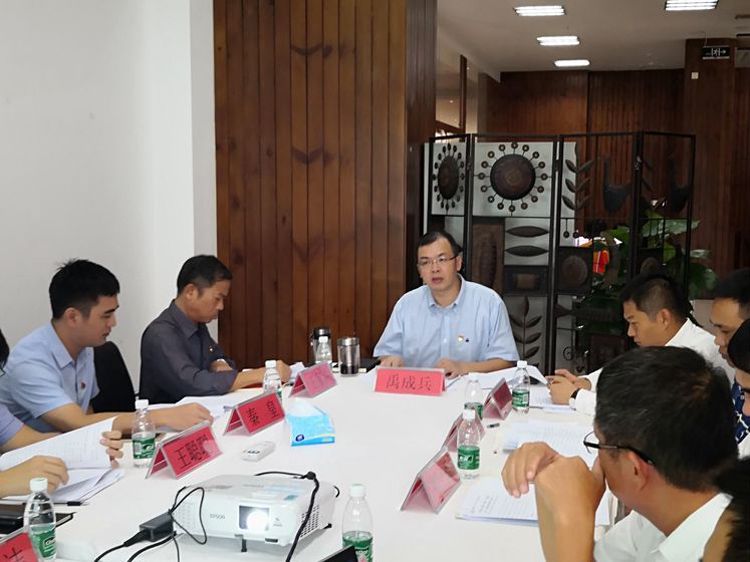 三亚旅游文化发展集团有限公司