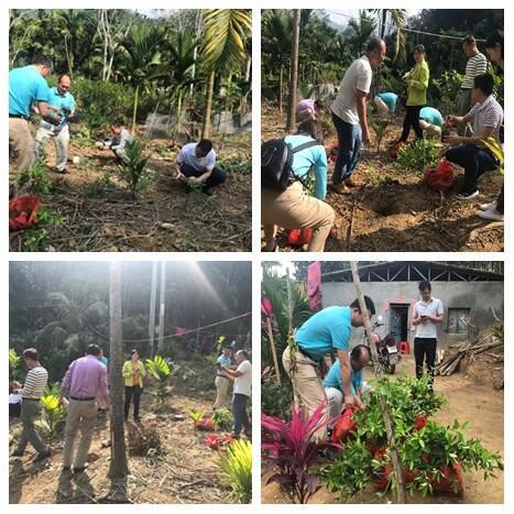 三亚旅游文化发展集团有限公司