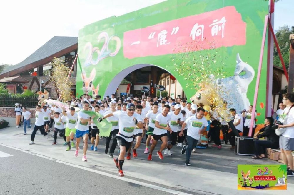 三亚旅游文化发展集团有限公司