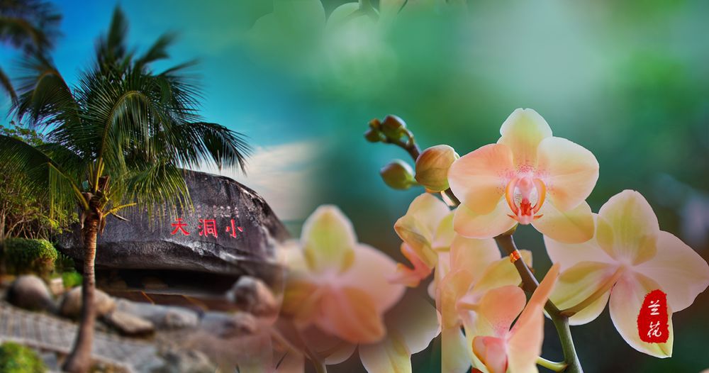 三亚旅游文化发展集团有限公司