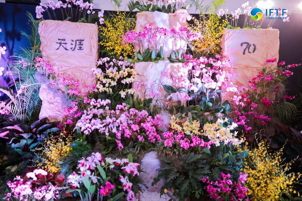 三亚旅游文化发展集团有限公司