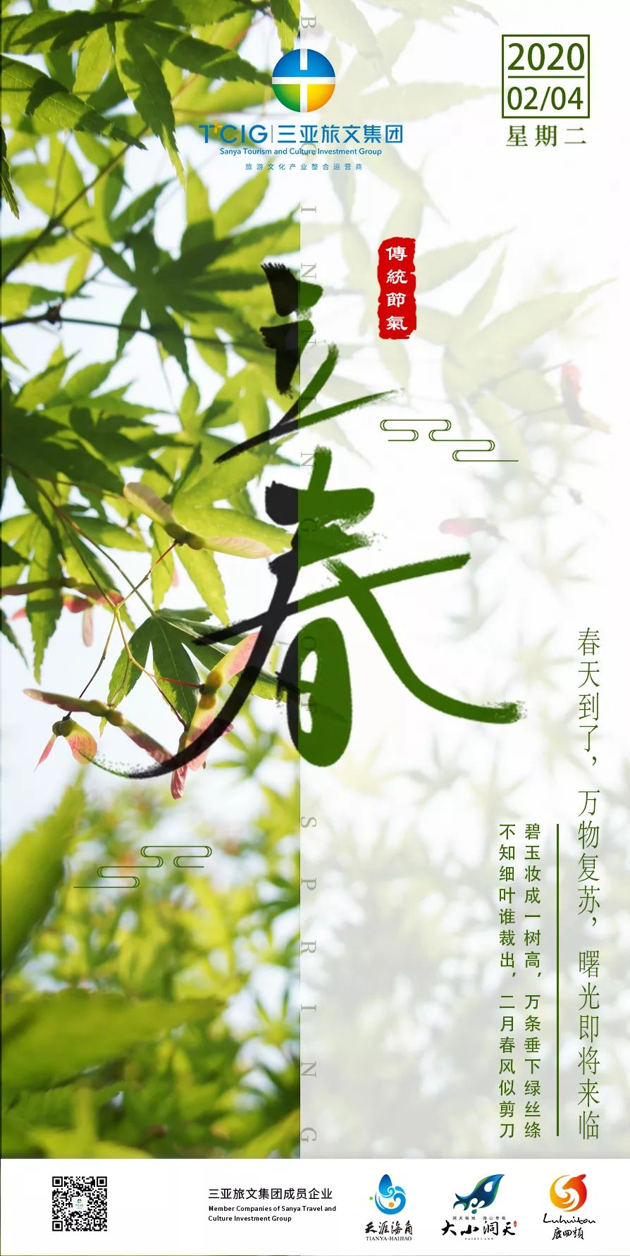 三亚旅游文化发展集团有限公司