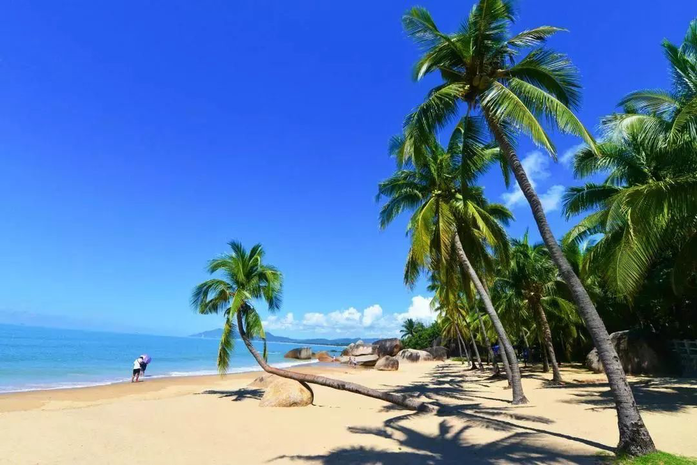 三亚旅游文化发展集团有限公司