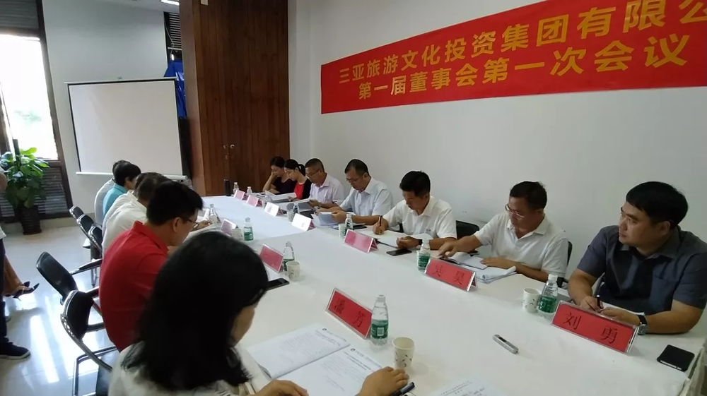 三亚旅游文化发展集团有限公司