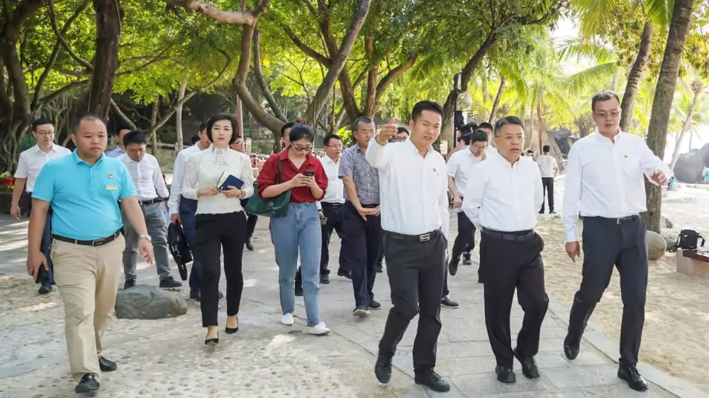 三亚旅游文化发展集团有限公司