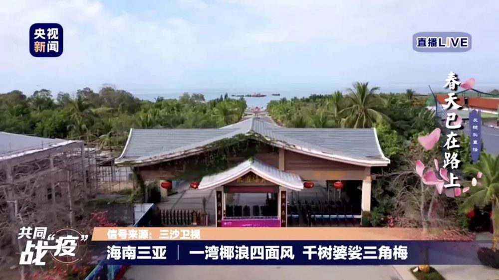 三亚旅游文化发展集团有限公司