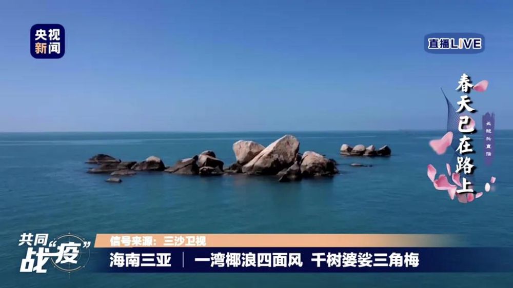 三亚旅游文化发展集团有限公司