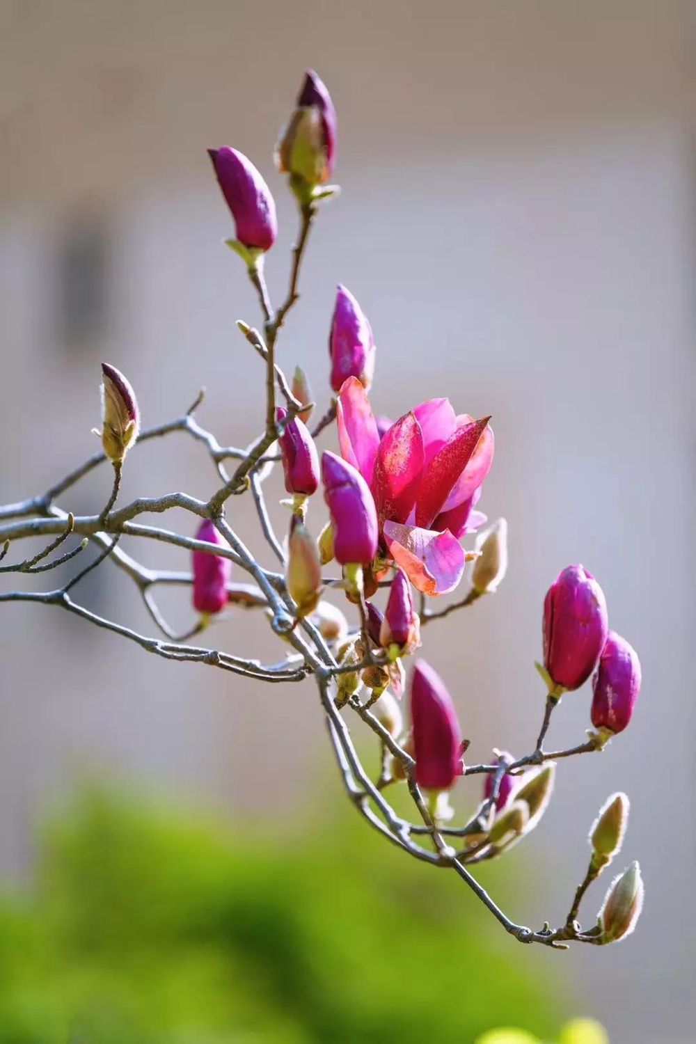 三亚旅游文化发展集团有限公司