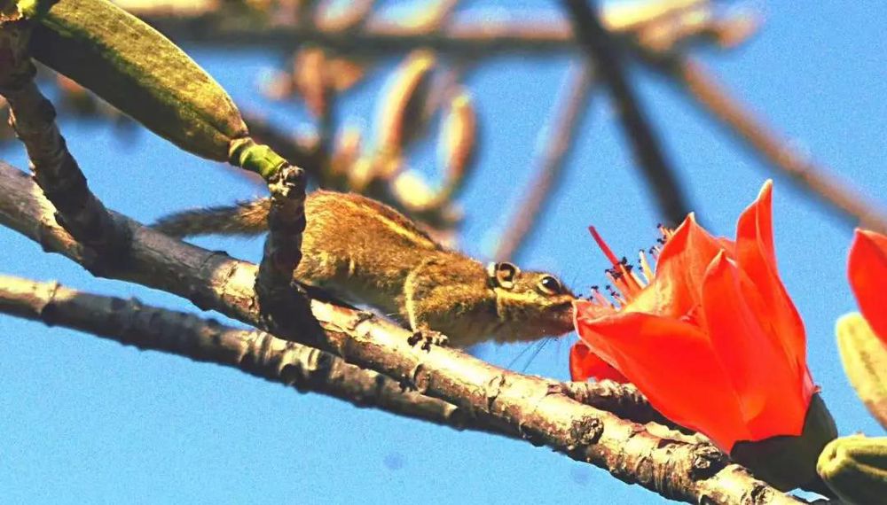 三亚旅游文化发展集团有限公司