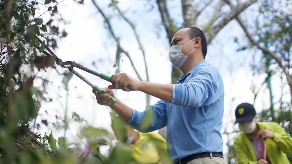三亚旅游文化发展集团有限公司