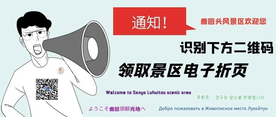 三亚旅游文化发展集团有限公司