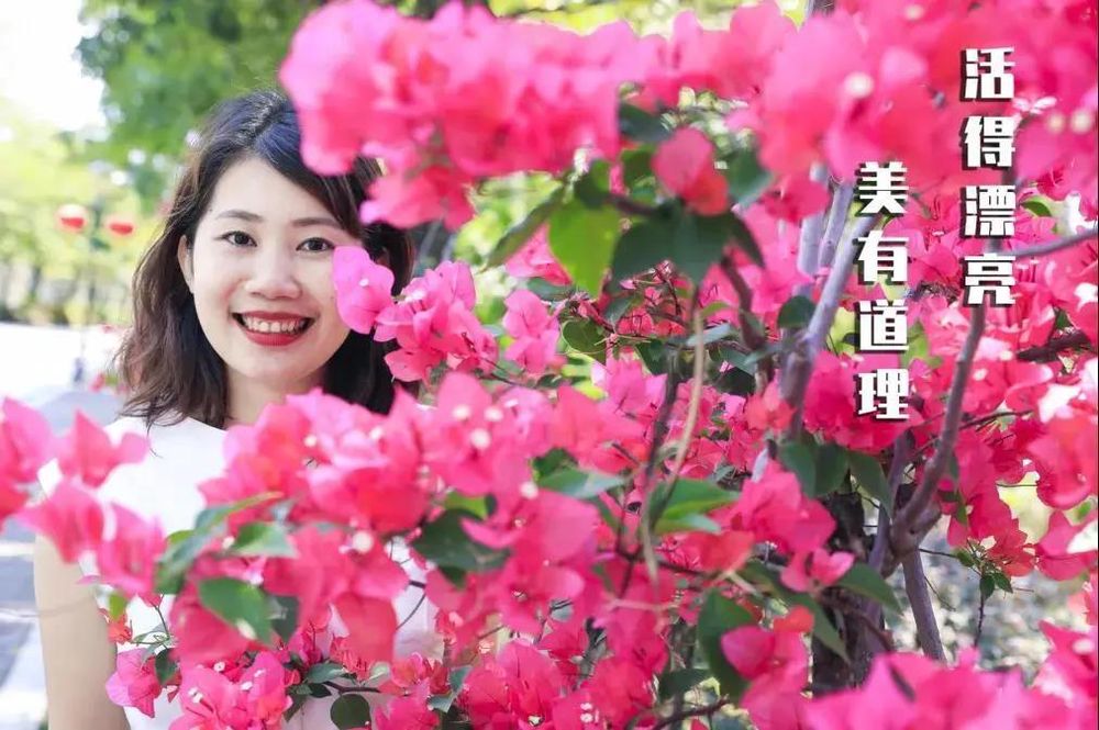 三亚旅游文化发展集团有限公司