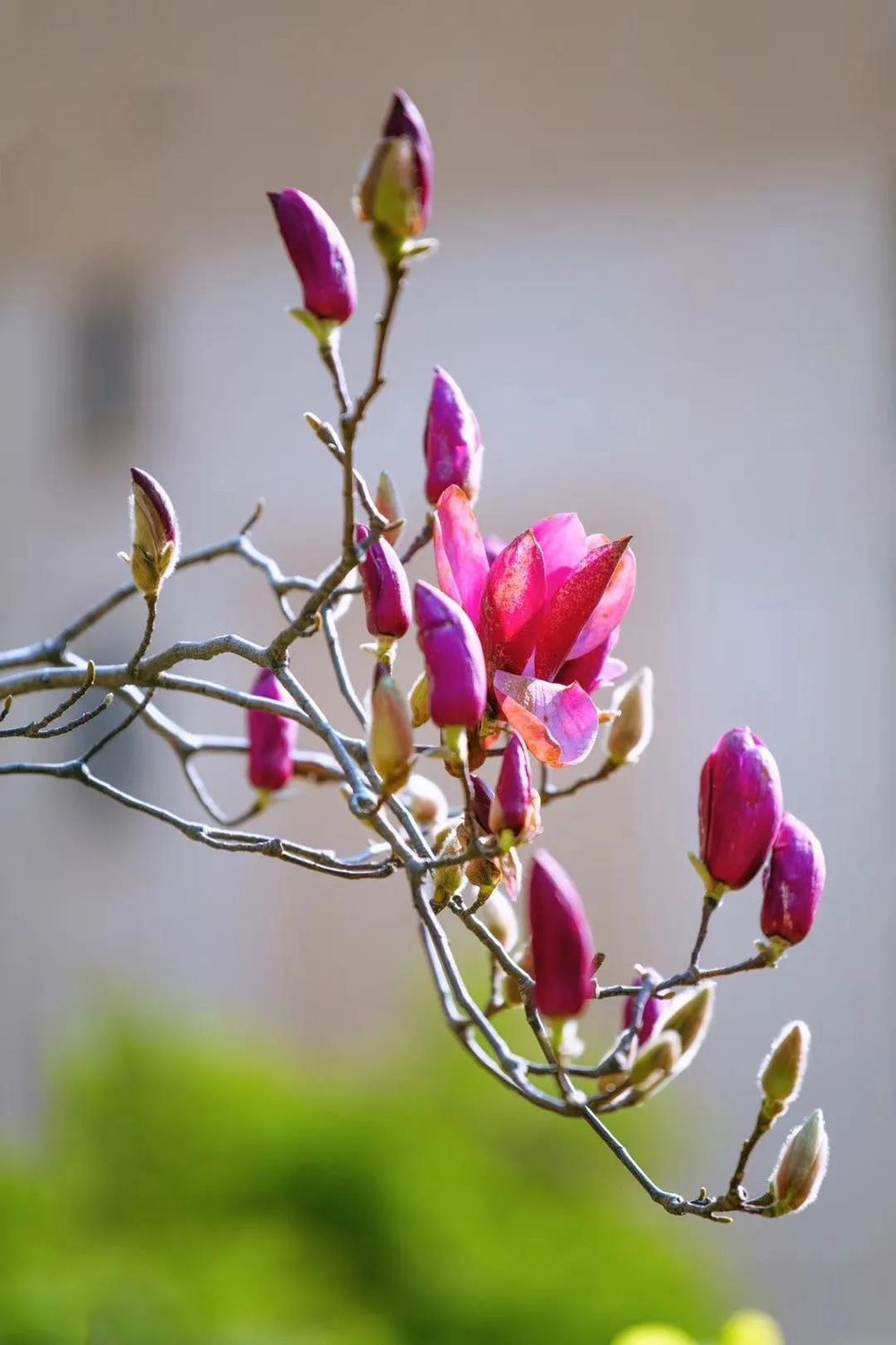 三亚旅游文化发展集团有限公司