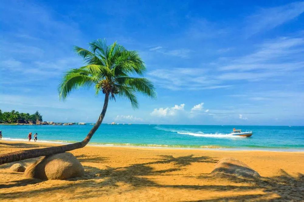 三亚旅游文化发展集团有限公司