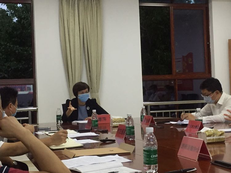 三亚旅游文化发展集团有限公司