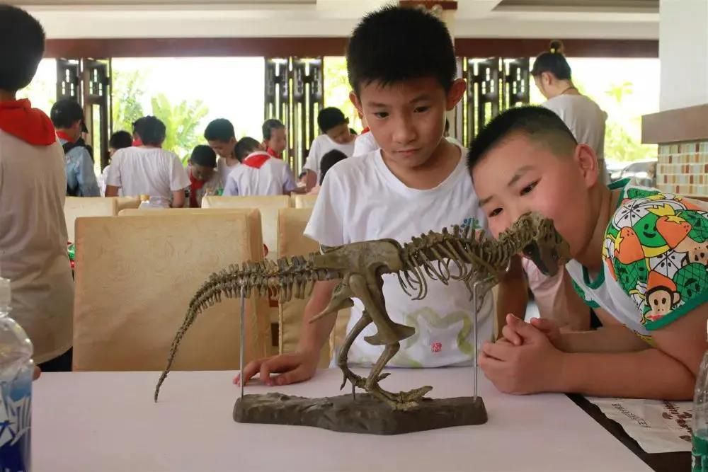 三亚旅游文化发展集团有限公司