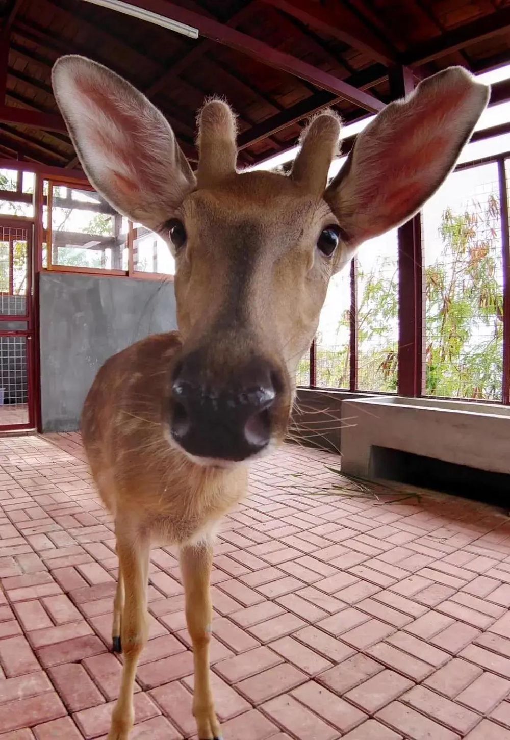 三亚旅游文化发展集团有限公司