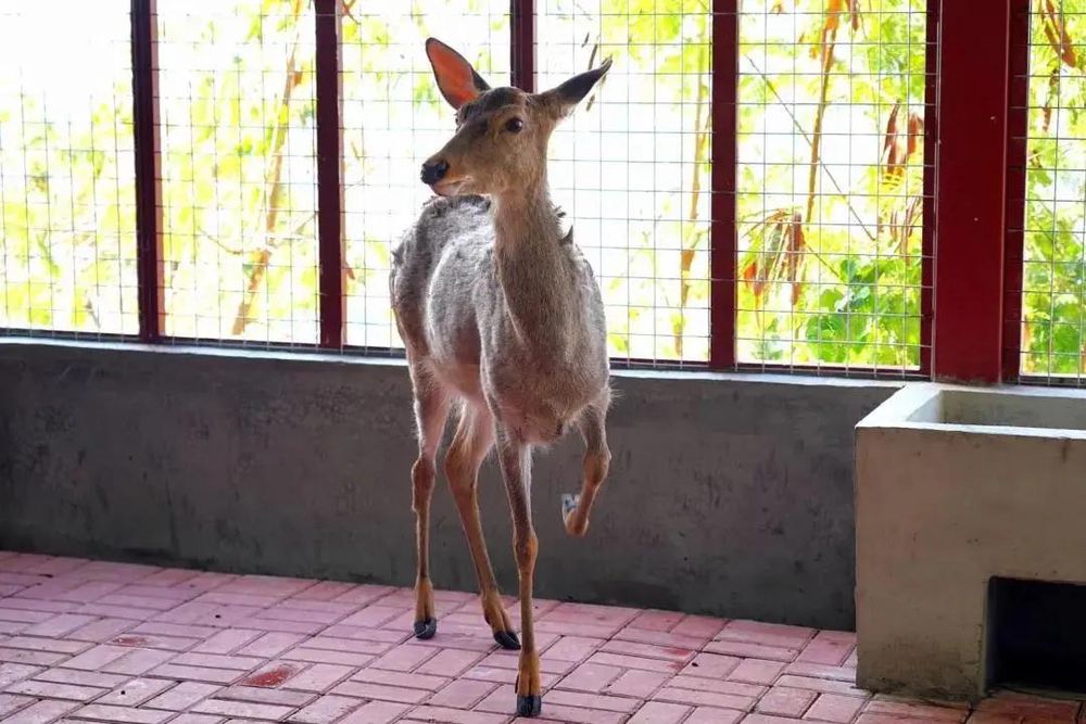 三亚旅游文化发展集团有限公司