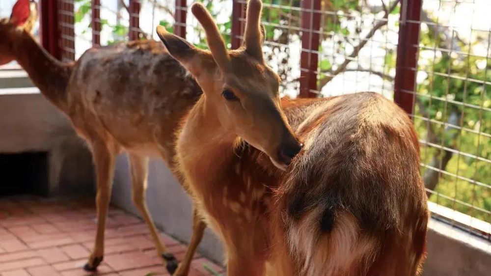 三亚旅游文化发展集团有限公司