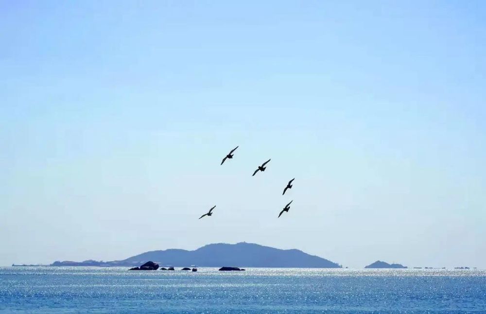 三亚旅游文化发展集团有限公司