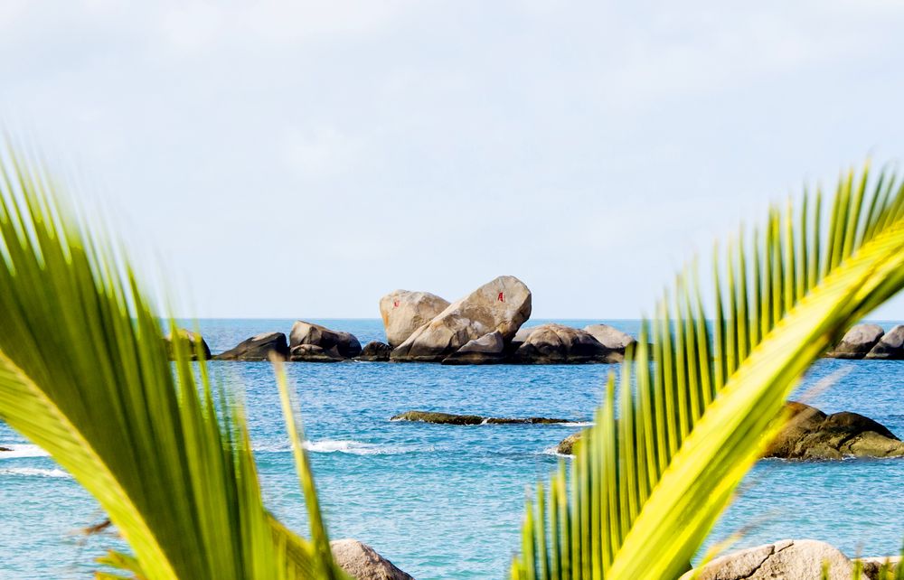 三亚旅游文化发展集团有限公司