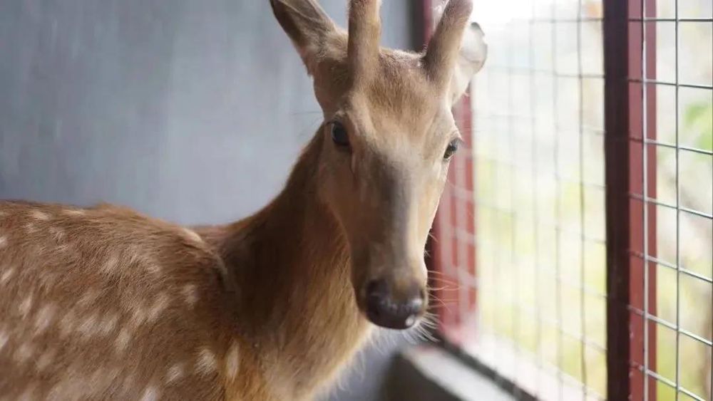 三亚旅游文化发展集团有限公司