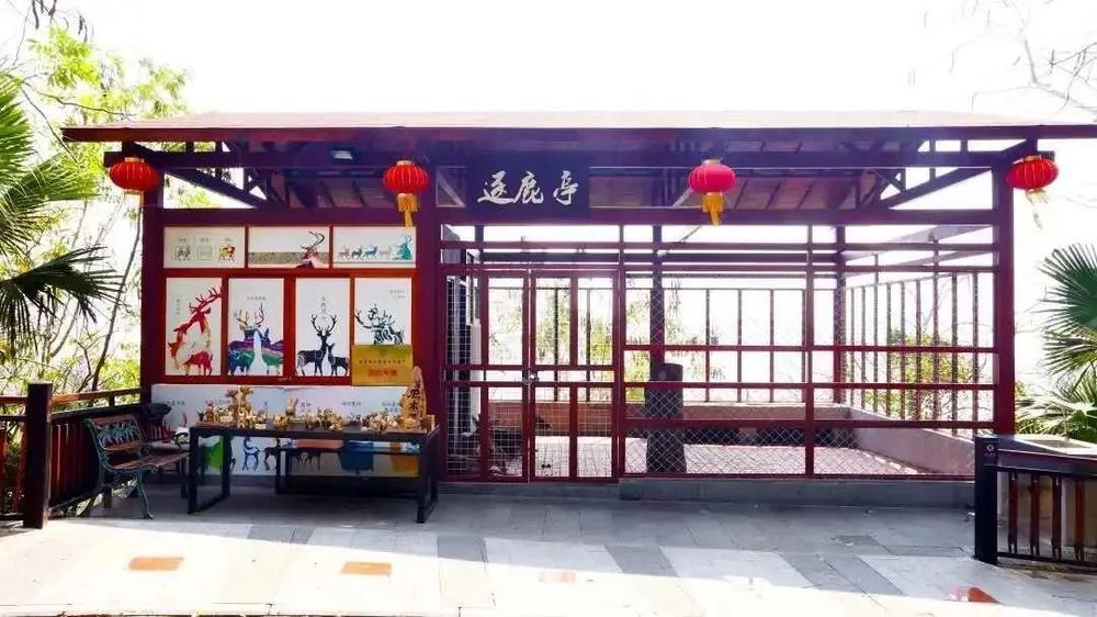 三亚旅游文化发展集团有限公司