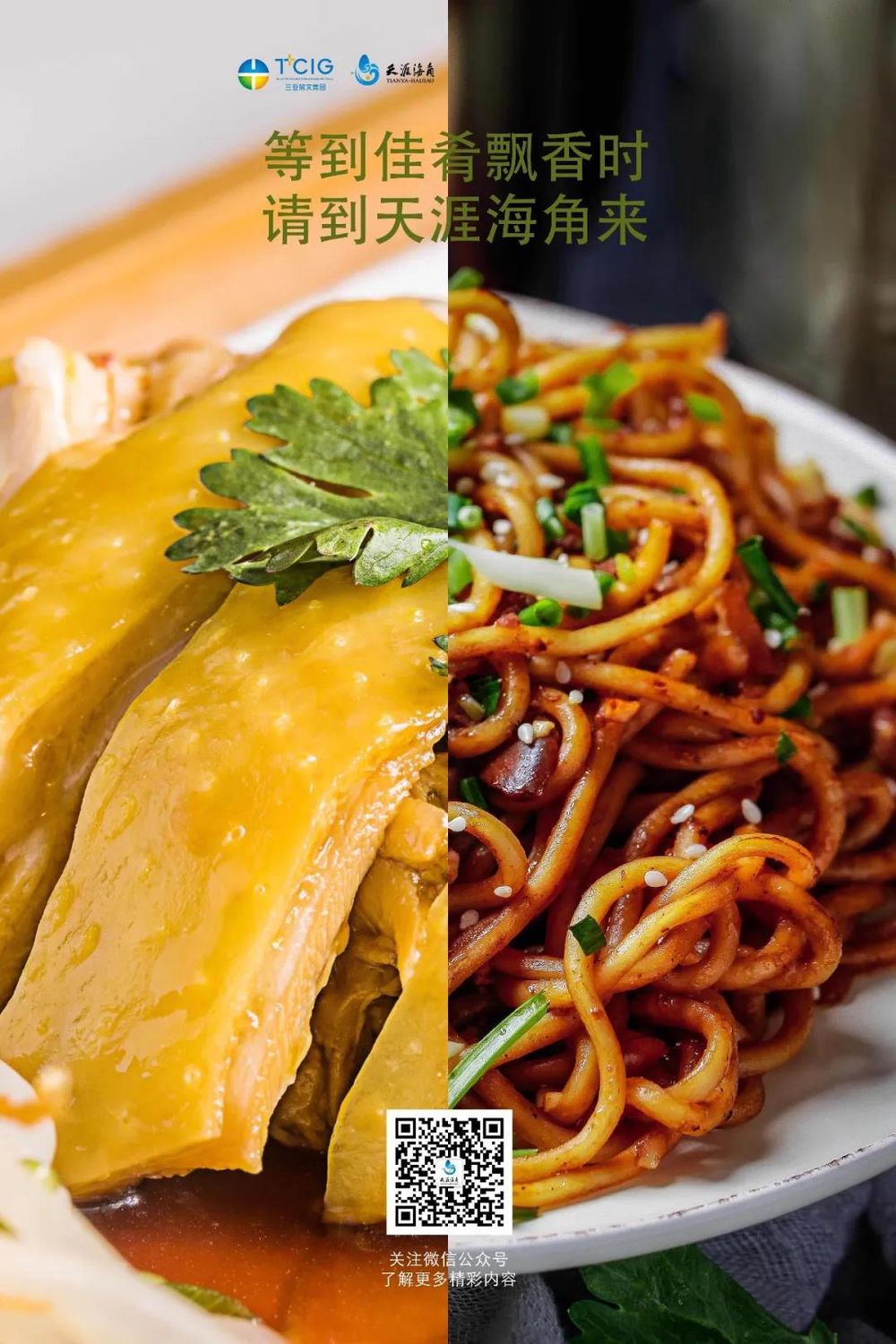 三亚旅游文化发展集团有限公司