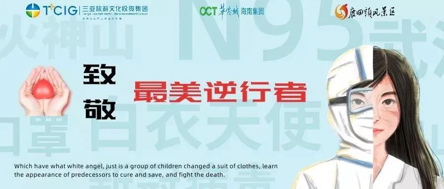 三亚旅游文化发展集团有限公司