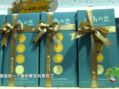 三亚旅游文化发展集团有限公司