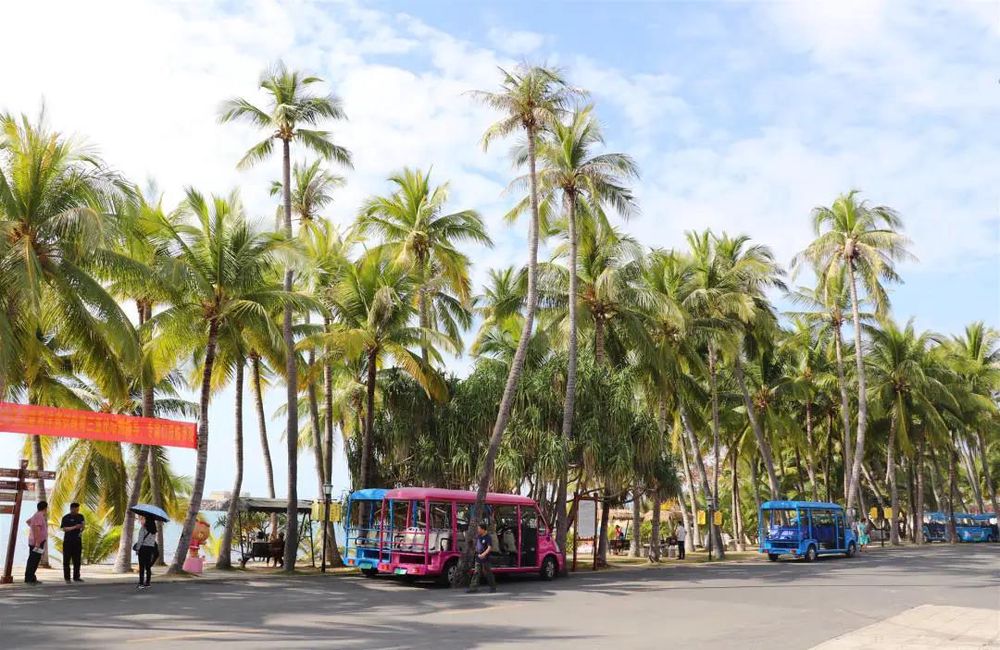 三亚旅游文化发展集团有限公司