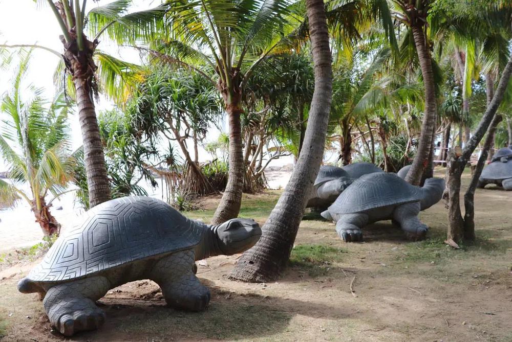 三亚旅游文化发展集团有限公司