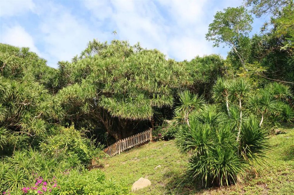 三亚旅游文化发展集团有限公司