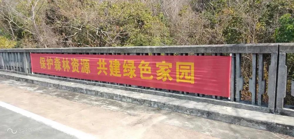 三亚旅游文化发展集团有限公司