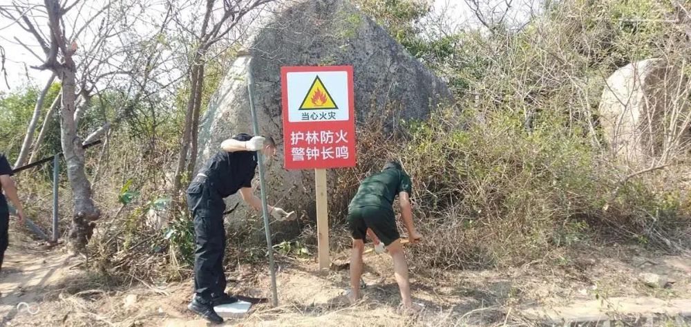 三亚旅游文化发展集团有限公司