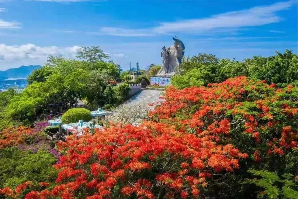 三亚旅游文化发展集团有限公司