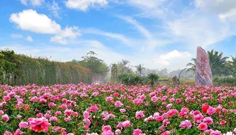 三亚旅游文化发展集团有限公司