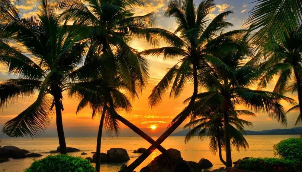 三亚旅游文化发展集团有限公司