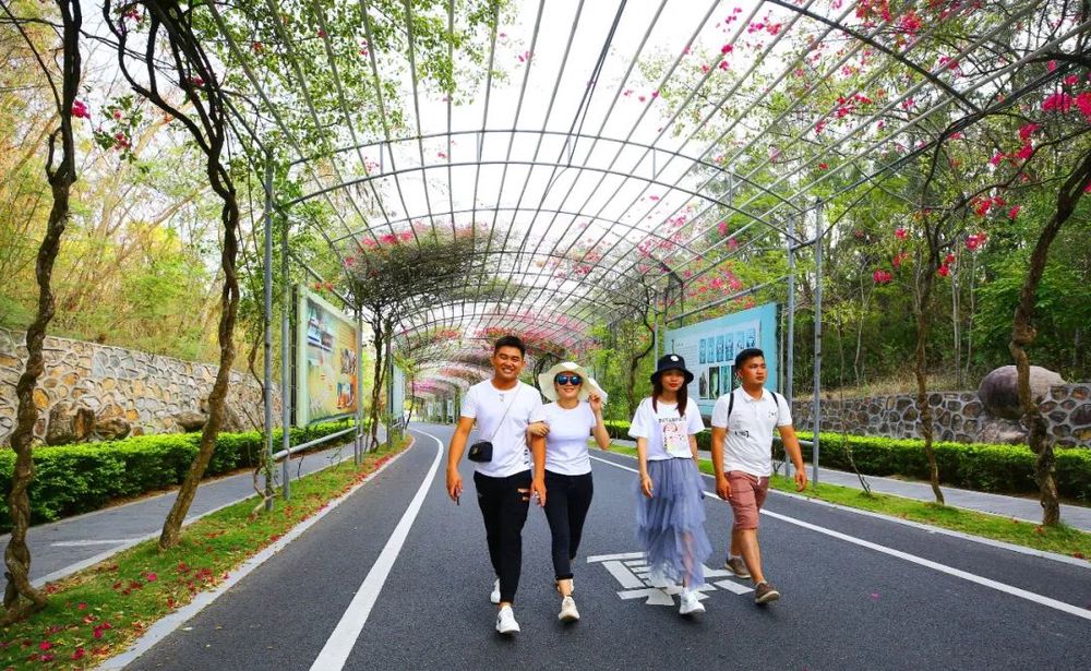 三亚旅游文化发展集团有限公司