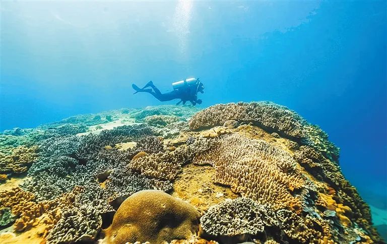 三亚旅游文化发展集团有限公司