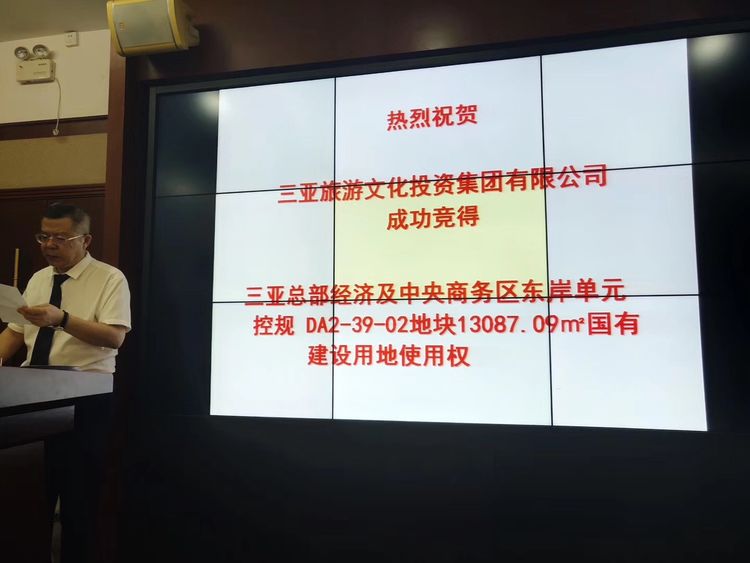 三亚旅游文化发展集团有限公司