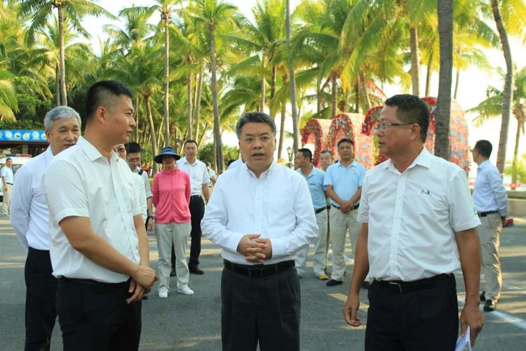 三亚旅游文化发展集团有限公司