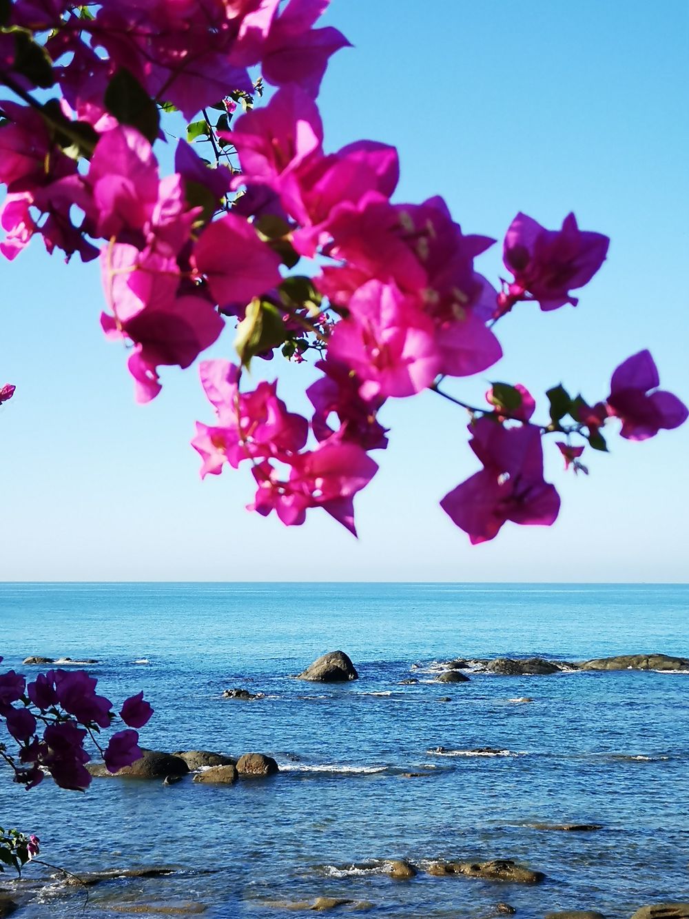 三亚旅游文化发展集团有限公司