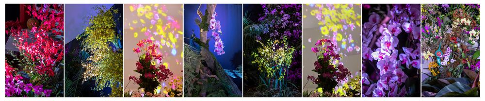 三亚旅游文化发展集团有限公司