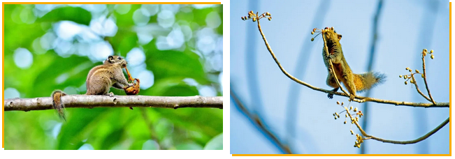 三亚旅游文化发展集团有限公司