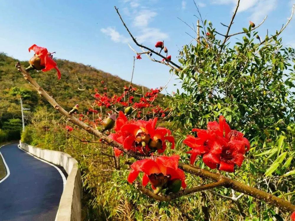 三亚旅游文化发展集团有限公司