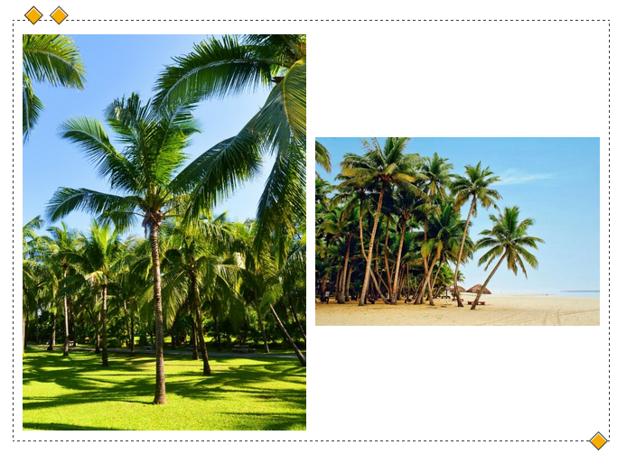 三亚旅游文化发展集团有限公司